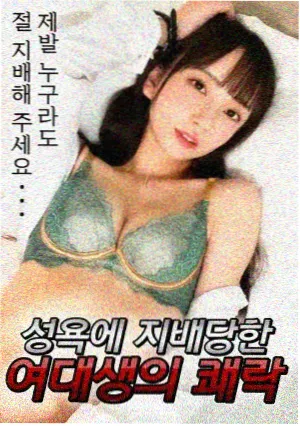 雾港谜案更新至24集